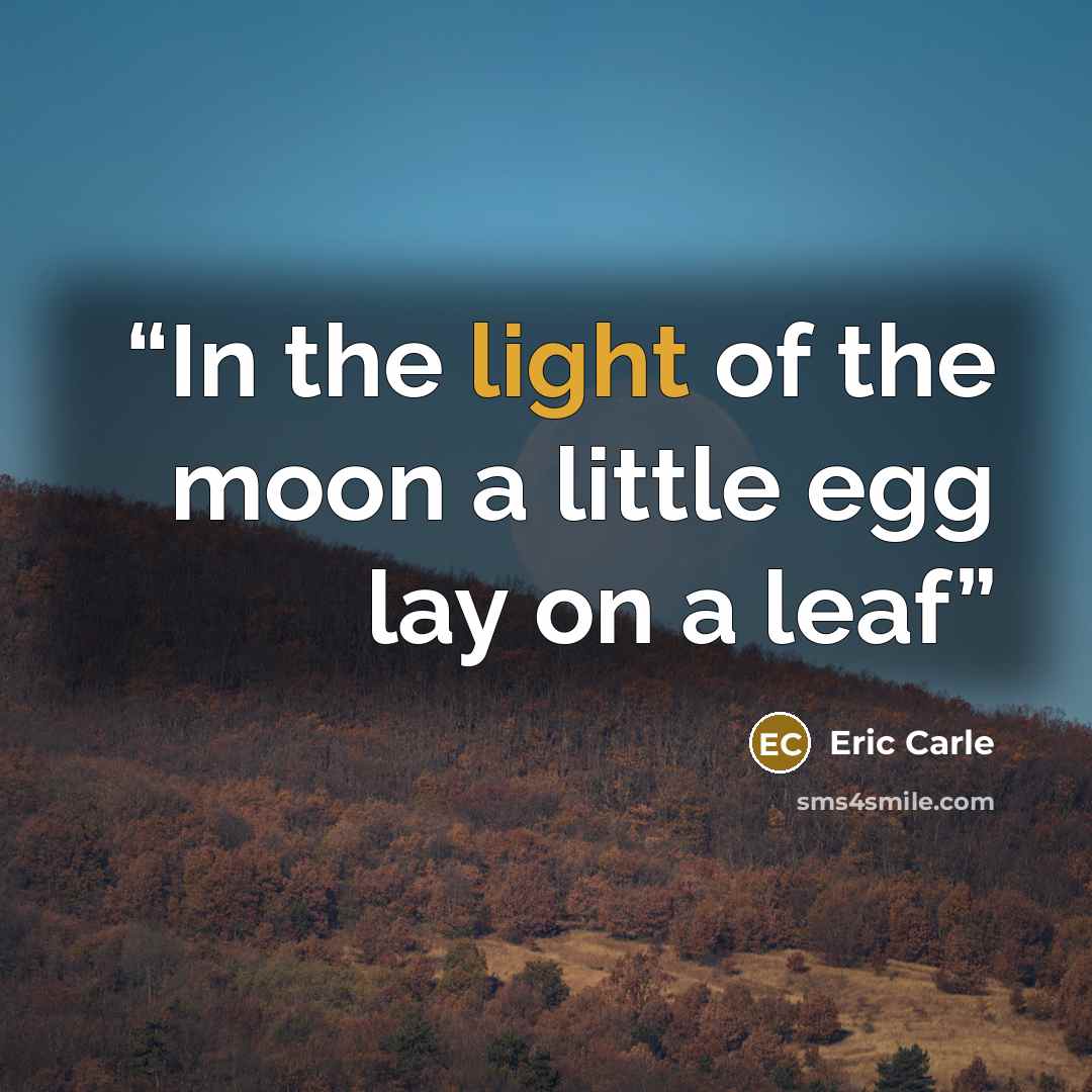 “In the light of the moon a little egg lay on a leaf” quote by Eric Carle