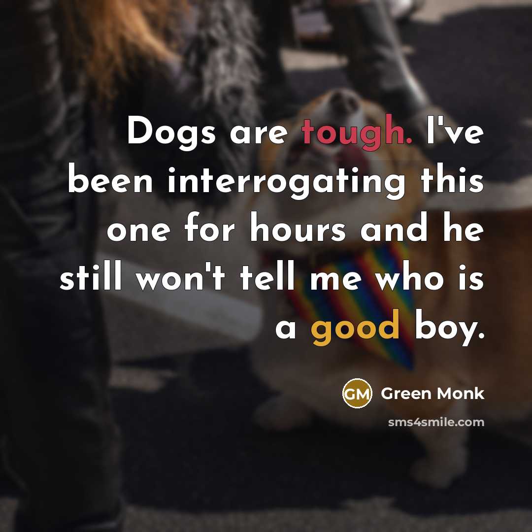 “Dogs are tough. I've been interrogating this one for hours and he still won't tell me who is a good boy.” quote by Green Monk