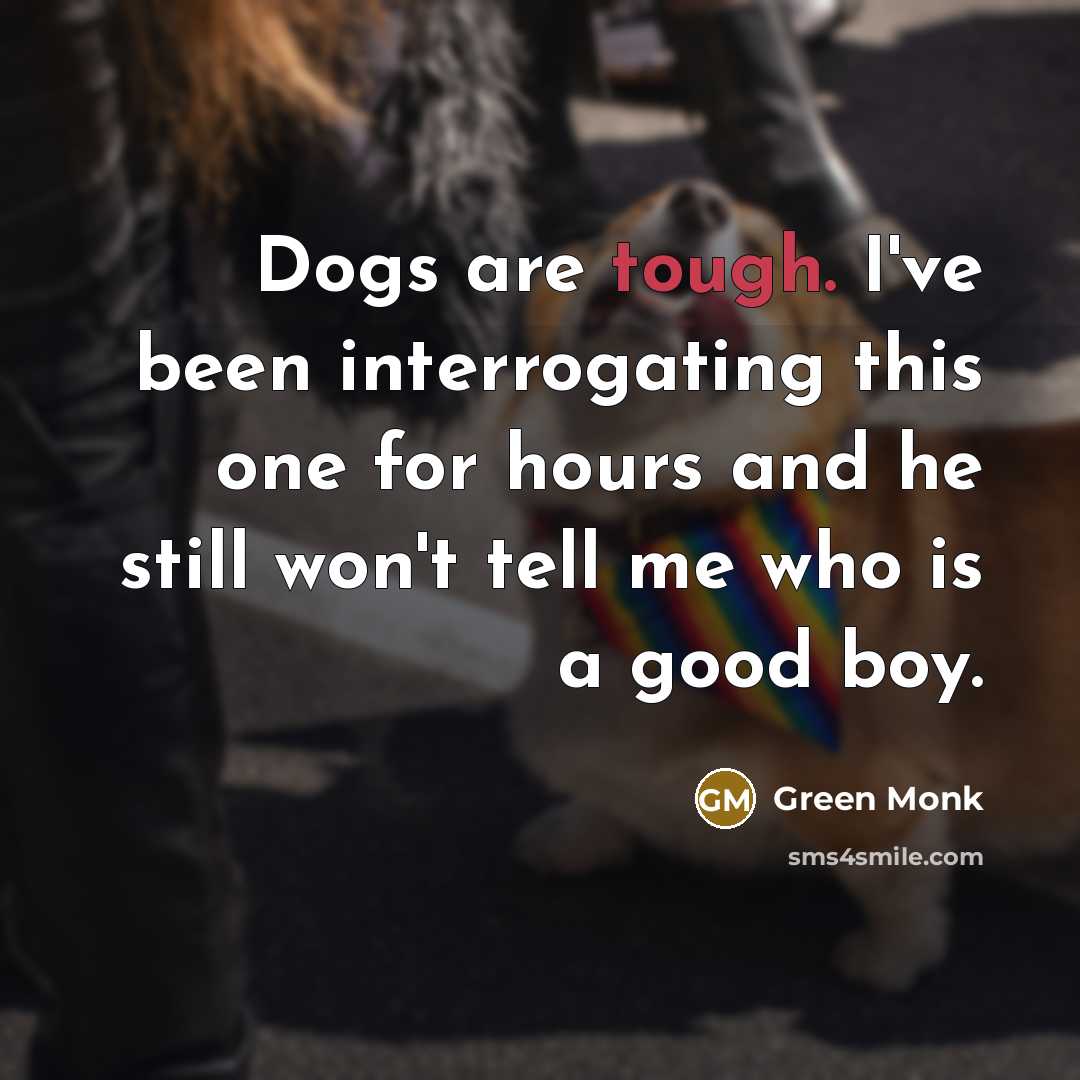 “Dogs are tough. I've been interrogating this one for hours…” quote by Green Monk