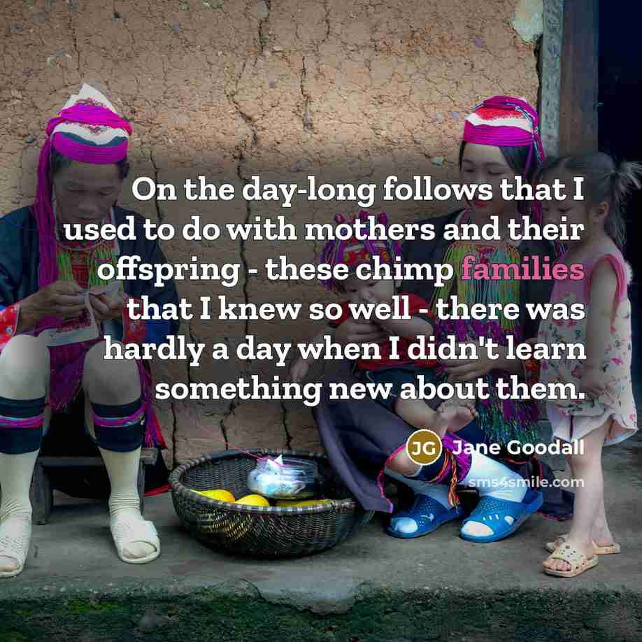 “On the day-long follows that I used to do with…” quote by Jane Goodall