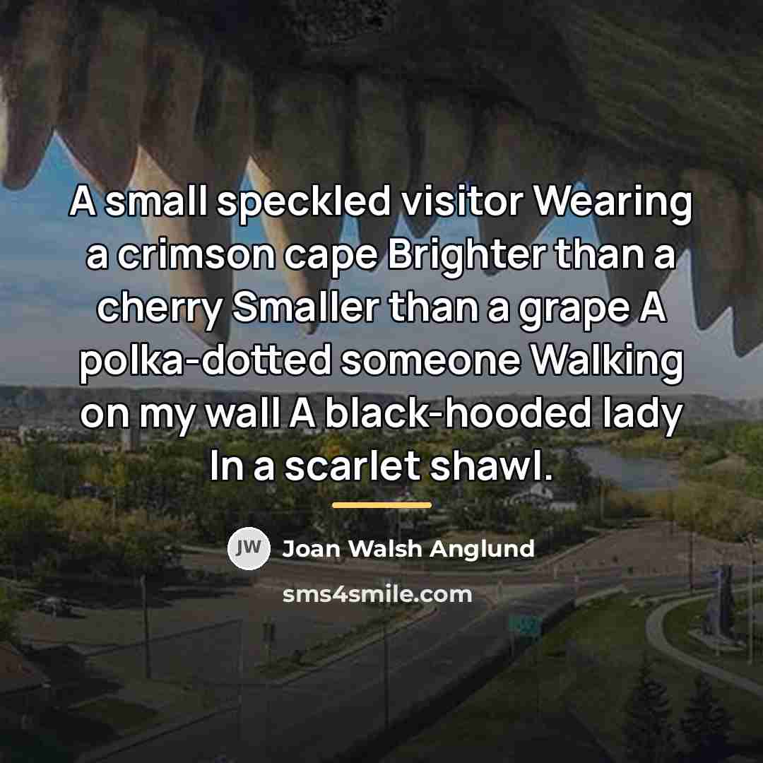 “A small speckled visitor Wearing a crimson cape Brighter than…” quote by Joan Walsh Anglund