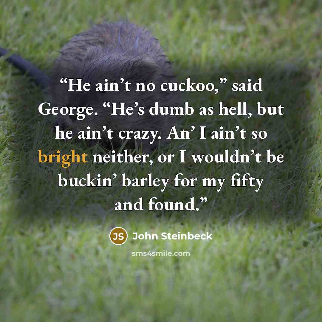 “He ain’t no cuckoo,” said George. “He’s dumb as hell, but he ain’t crazy. An’ I ain’t so bright neither, or I wouldn’t be buckin’ barley for my fifty and found.” quote by John Steinbeck