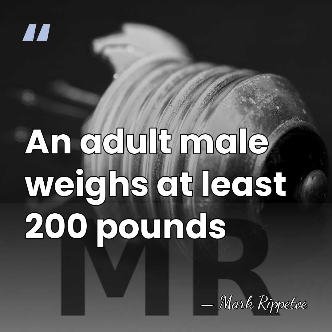 An adult male weighs at least 200 pounds - Mark Rippetoe