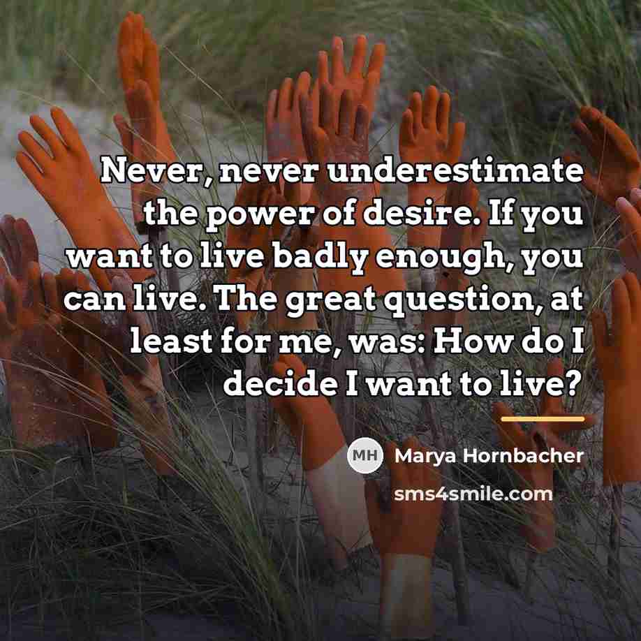 “Never, never underestimate the power of desire. If you want…” quote by Marya Hornbacher