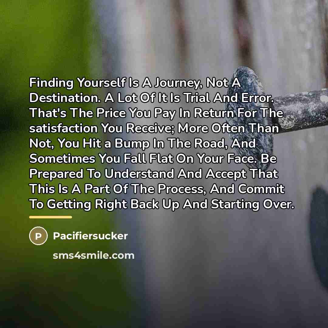 “Finding Yourself Is A Journey, Not A Destination. A Lot…” quote by Pacifiersucker