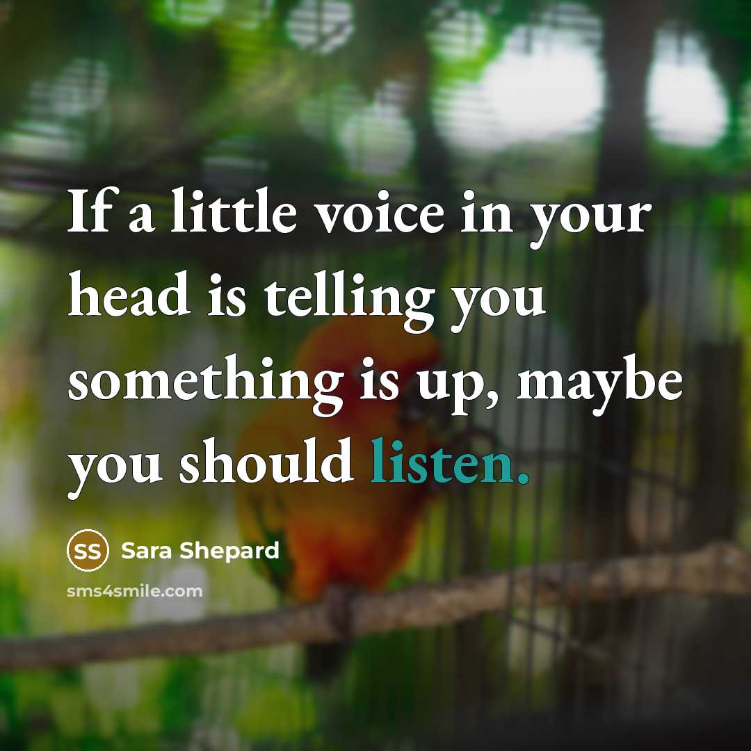“If a little voice in your head is telling you…” quote by Sara Shepard