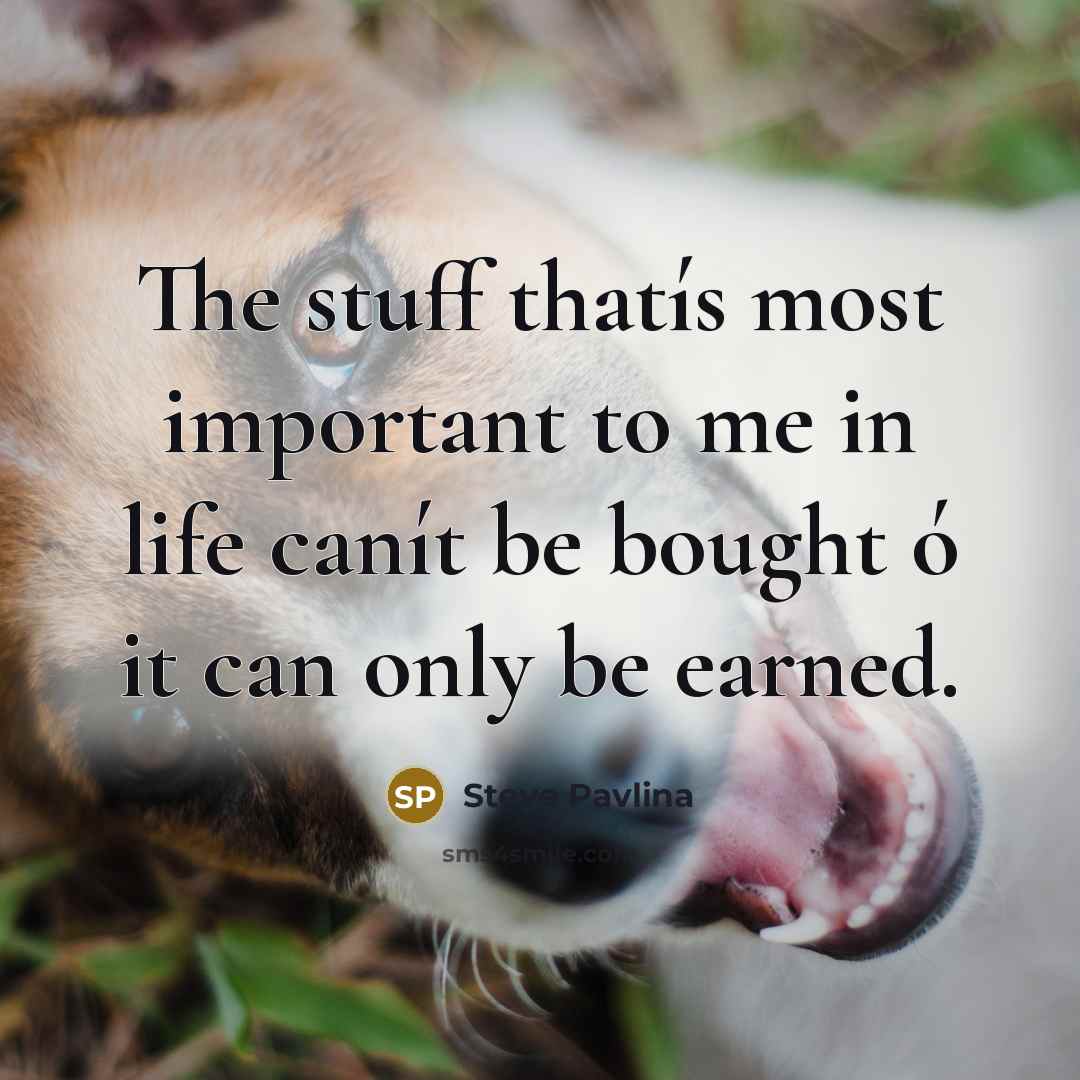 “The stuff thatís most important to me in life canít…” quote by Steve Pavlina