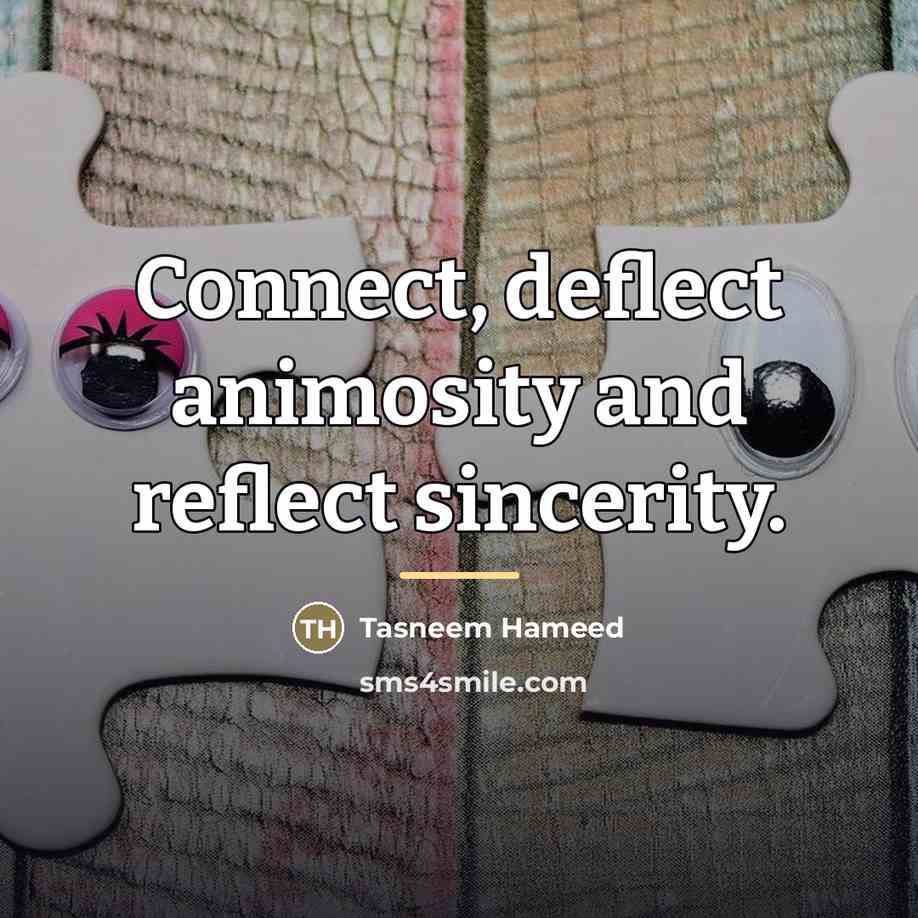 “Connect, deflect animosity and reflect sincerity.…” quote by Tasneem Hameed
