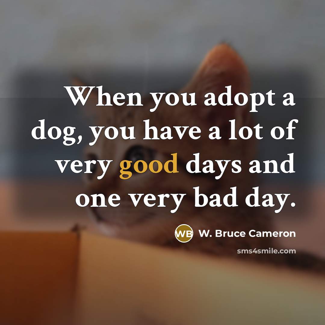 “When you adopt a dog, you have a lot of…” quote by W. Bruce Cameron