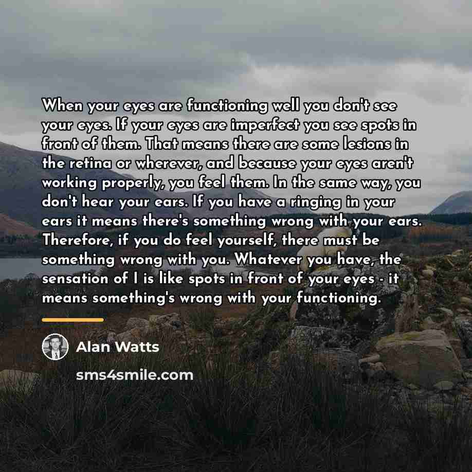 “When your eyes are functioning well you don't see your…” quote by Alan Watts