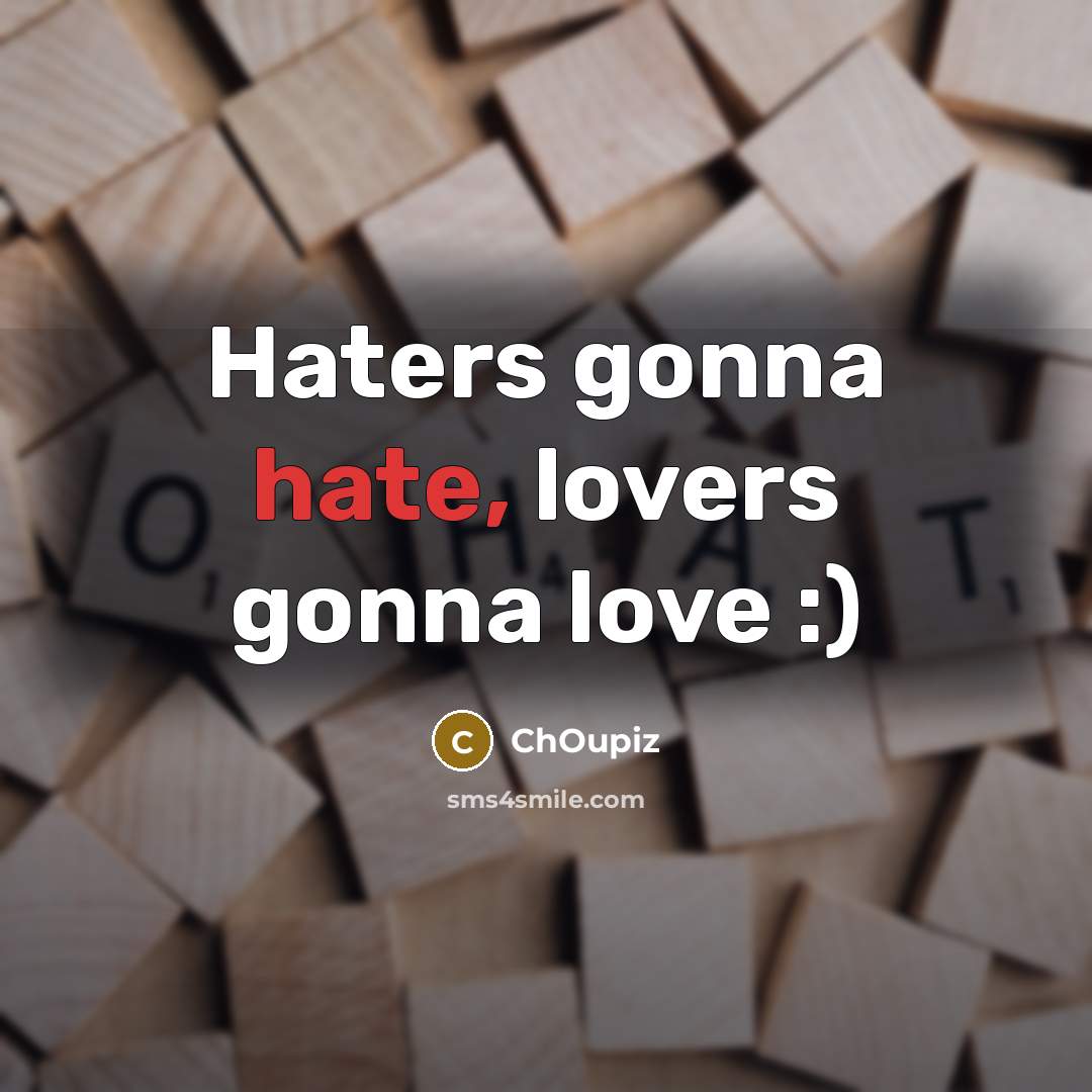 “Haters gonna hate, lovers gonna love :)…” quote by ChOupiz