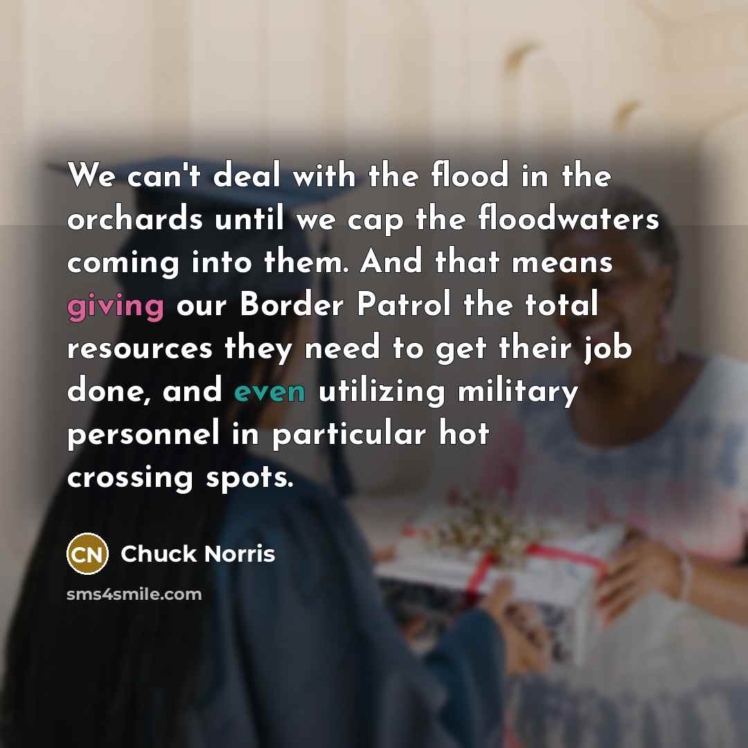 “We can't deal with the flood in the orchards until…” quote by Chuck Norris