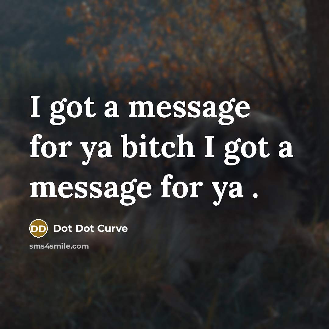 “I got a message for ya bitch I got a…” quote by Dot Dot Curve