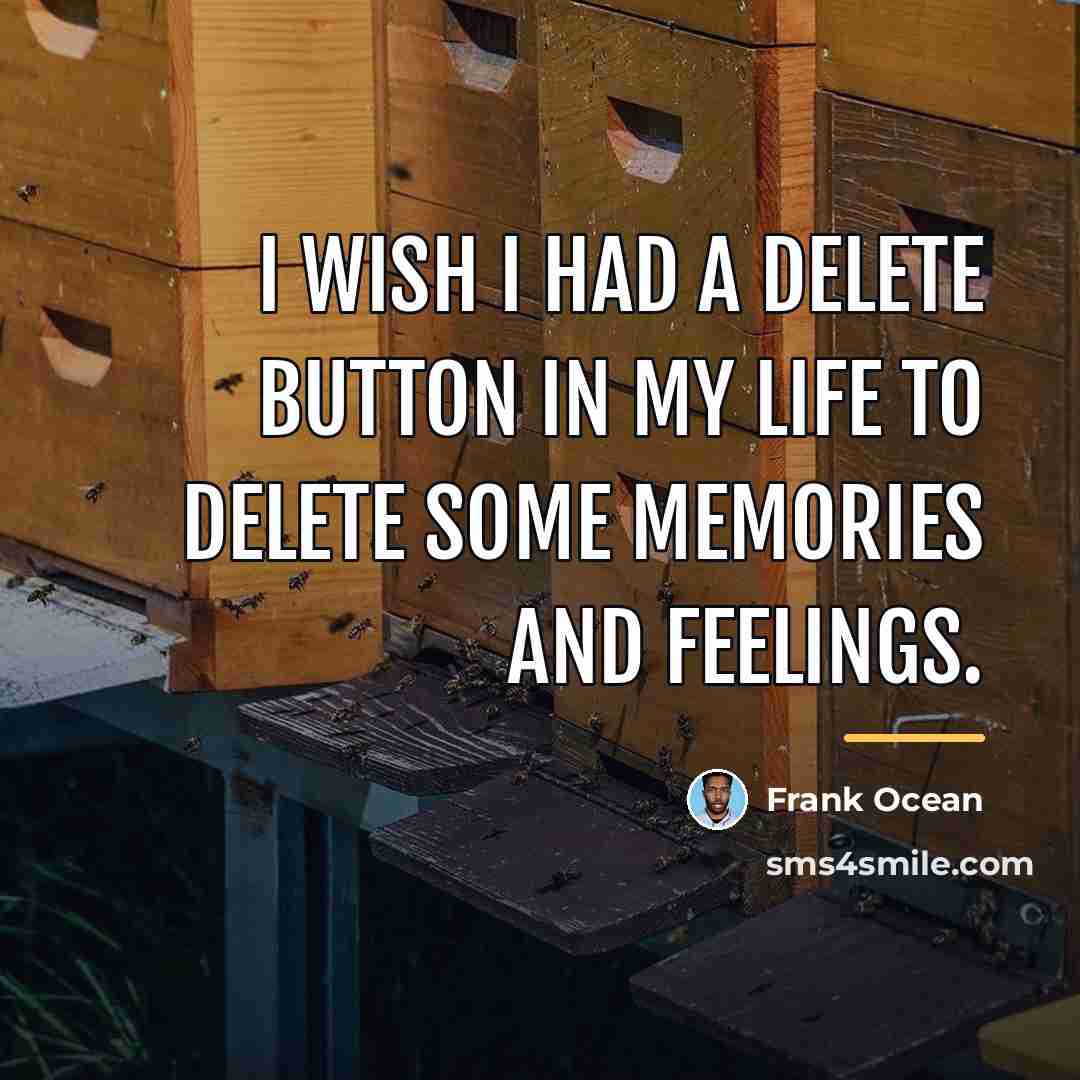 “I wish I had a delete button in my life…” quote by Frank Ocean