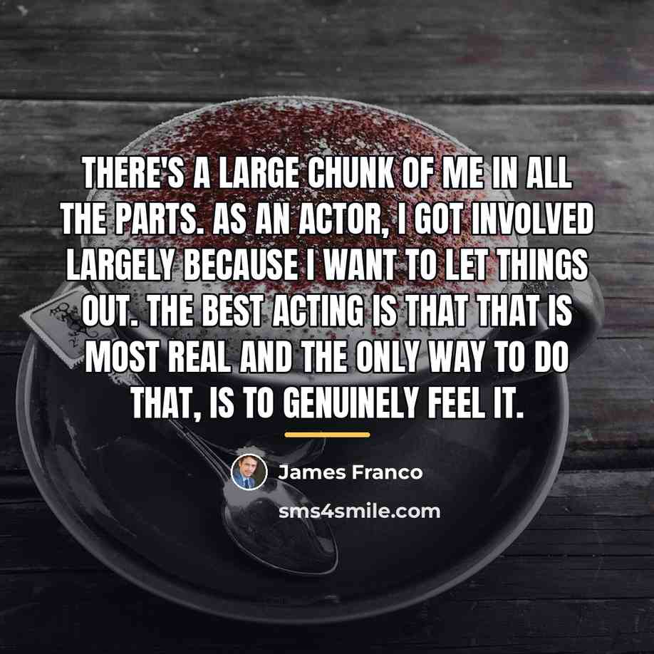 “There's a large chunk of me in all the parts.…” quote by James Franco
