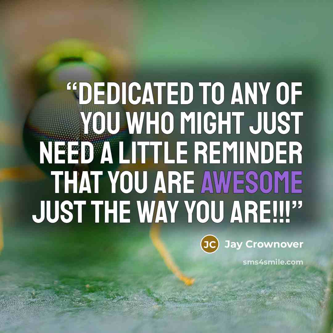 “Dedicated to any of you who might just need a little reminder that you are awesome just the way you are!!!” quote by Jay Crownover