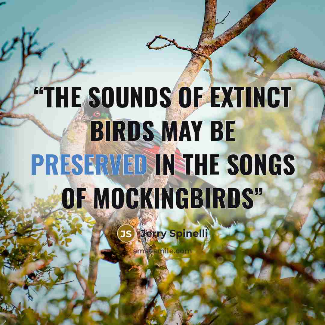 “The sounds of extinct birds may be preserved in the songs of mockingbirds” quote by Jerry Spinelli