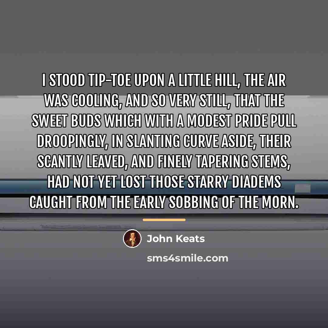 “I stood tip-toe upon a little hill, The air was…” quote by John Keats