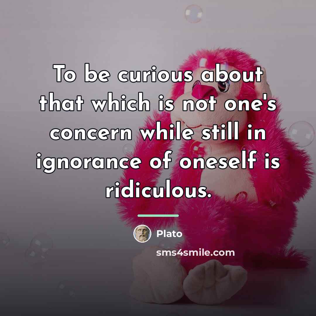 “To be curious about that which is not one's concern…” quote by Plato