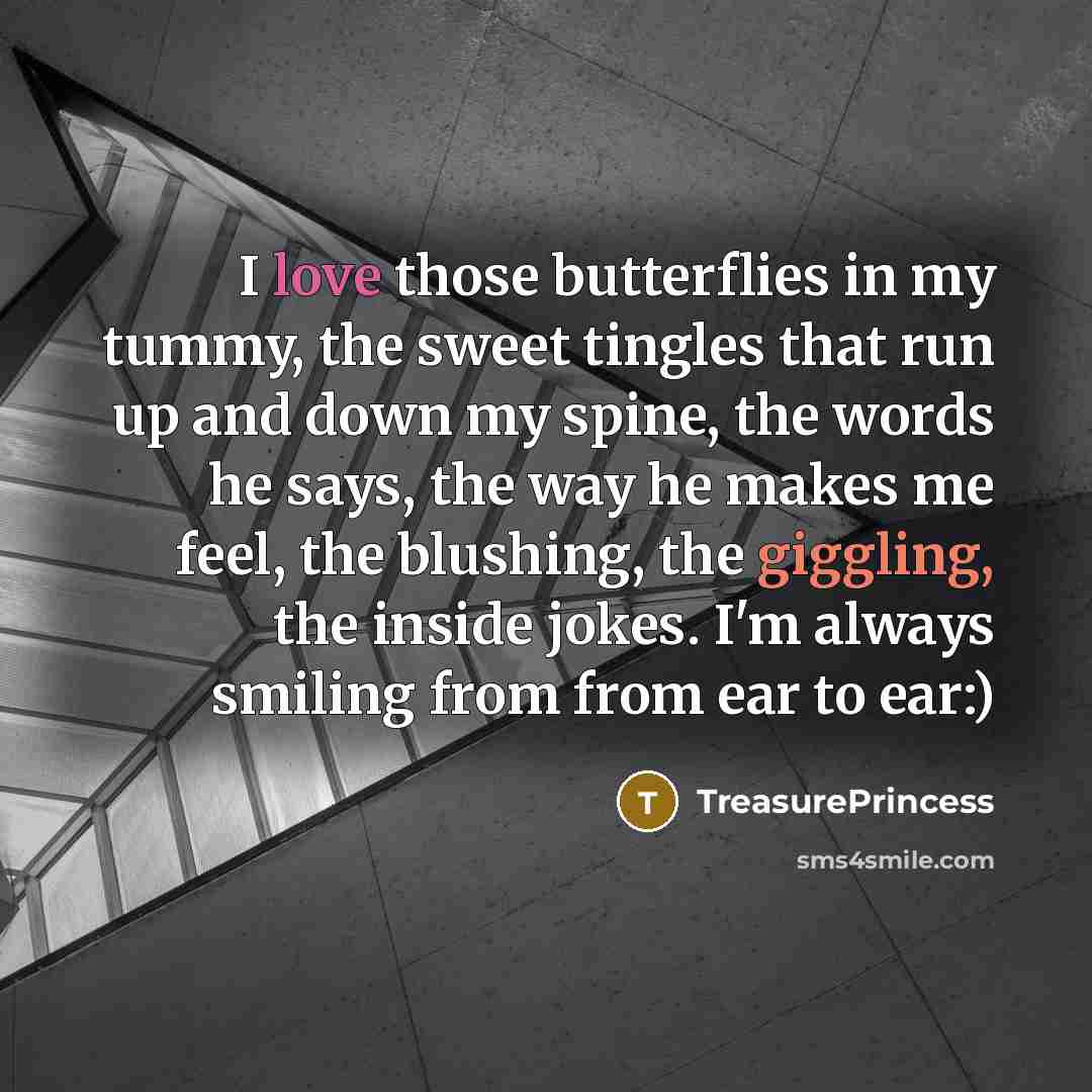 “I love those butterflies in my tummy, the sweet tingles that run up and down my spine, the words he says, the way he makes me feel, the blushing, the giggling, the inside jokes. I'm always smiling from from ear to ear:)” quote by TreasurePrincess