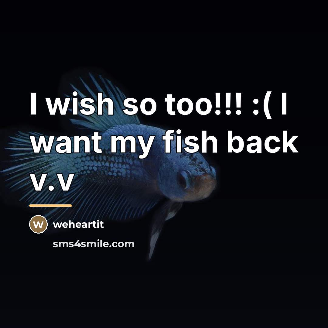 “I wish so too!!! :( I want my fish back…” quote by WeHeartIt