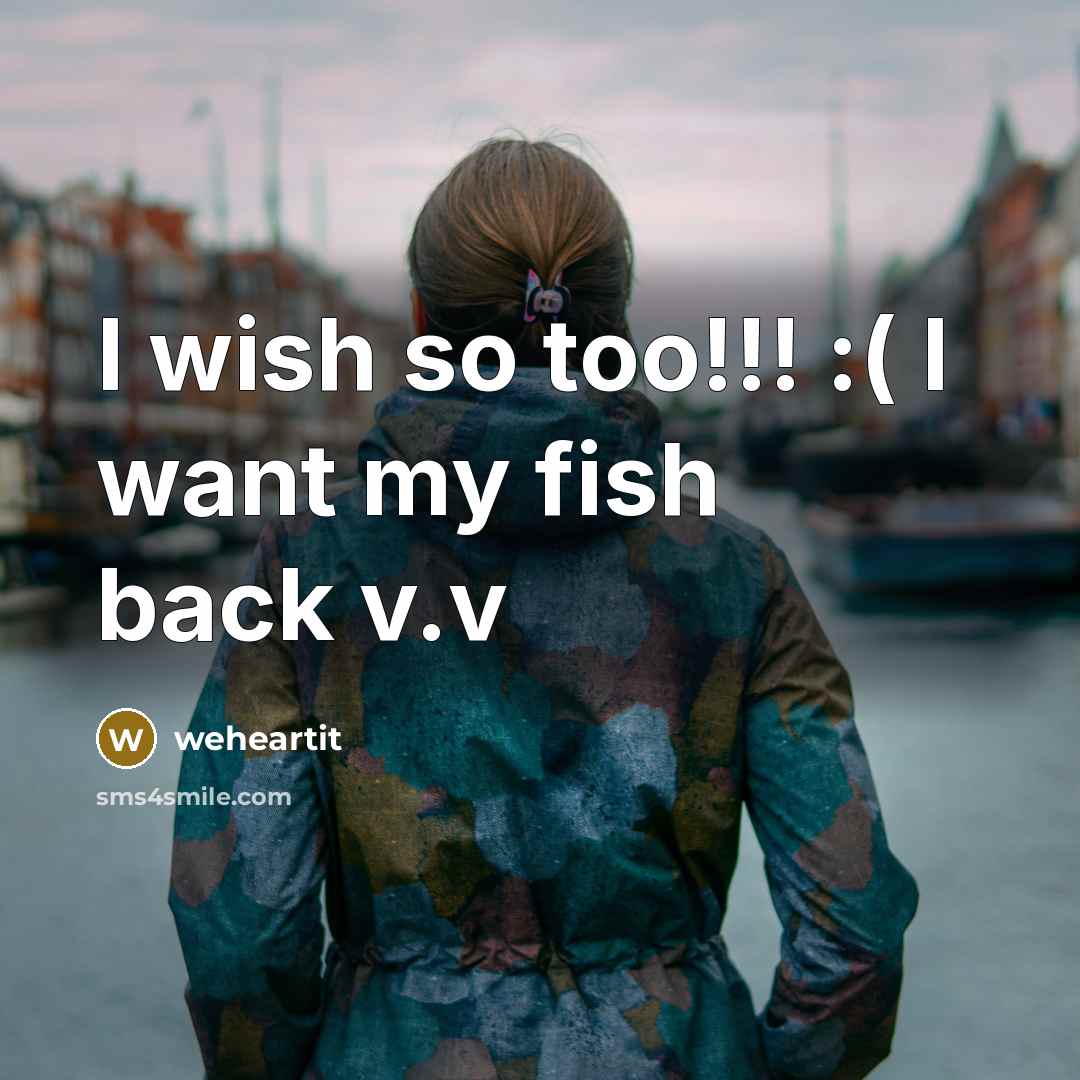 “I wish so too!!! :( I want my fish back v.v” quote by WeHeartIt
