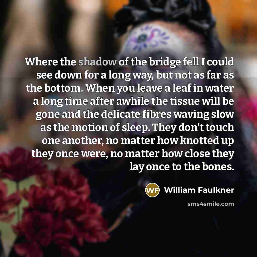 “Where the shadow of the bridge fell I could see…” quote by William Faulkner