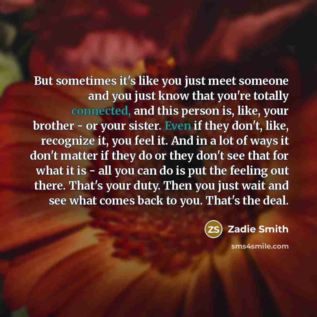 “But sometimes it's like you just meet someone and you…” quote by Zadie Smith