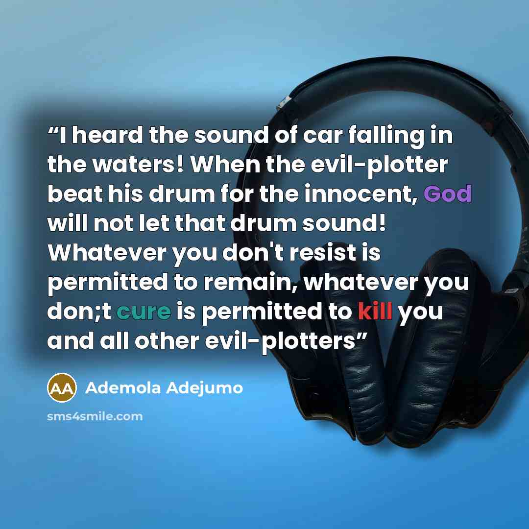 “I heard the sound of car falling in the waters! When the evil-plotter beat his drum for the innocent, God will not let that drum sound! Whatever you don't resist is permitted to remain, whatever you don;t cure is permitted to kill you and all other evil-plotters” quote by Ademola Adejumo