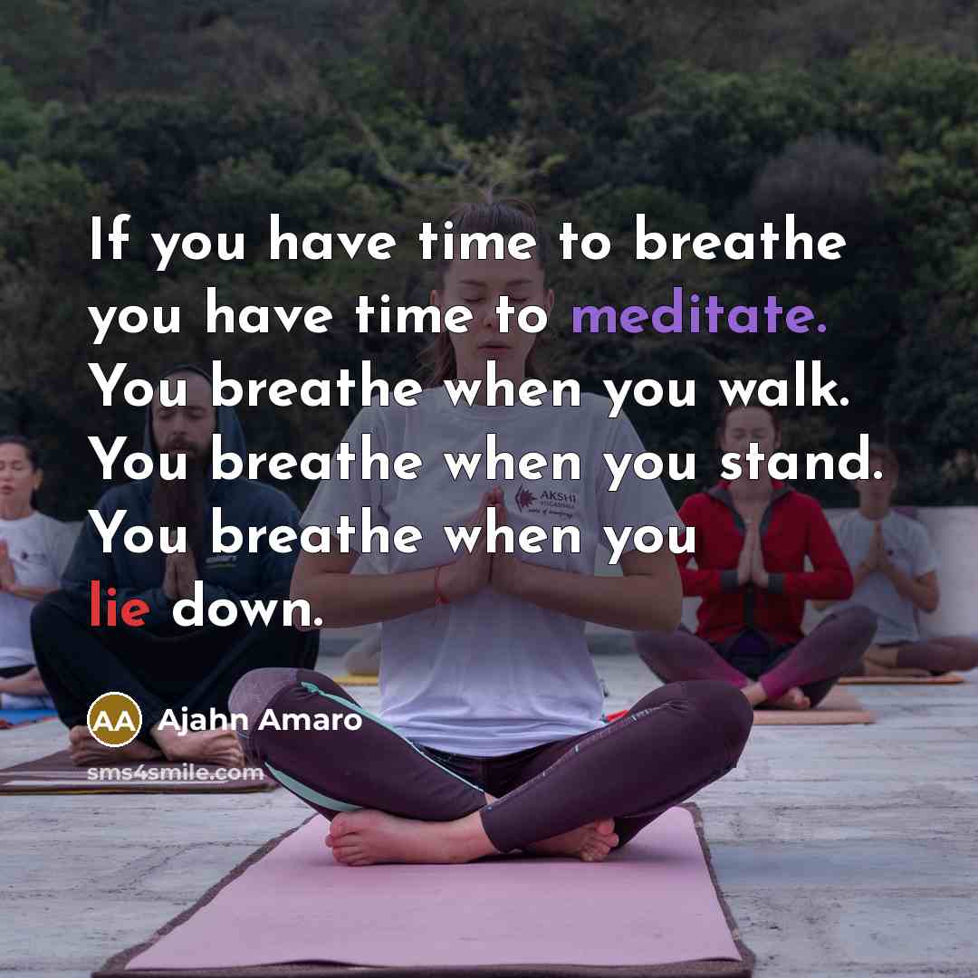 “If you have time to breathe you have time to…” quote by Ajahn Amaro
