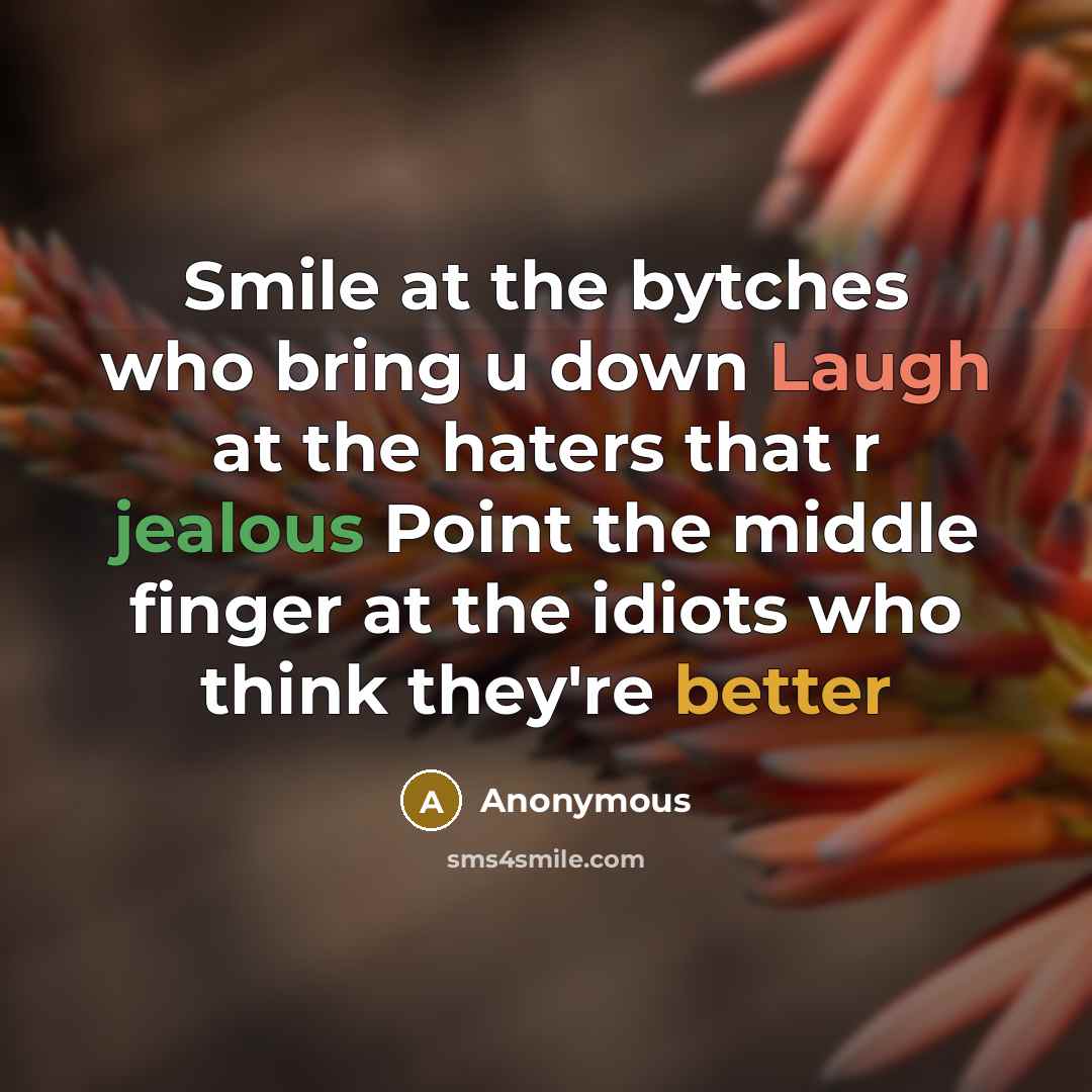 “Smile at the bytches who bring u down Laugh at the haters that r jealous Point the middle finger at the idiots who think they're better” quote by Anonymous