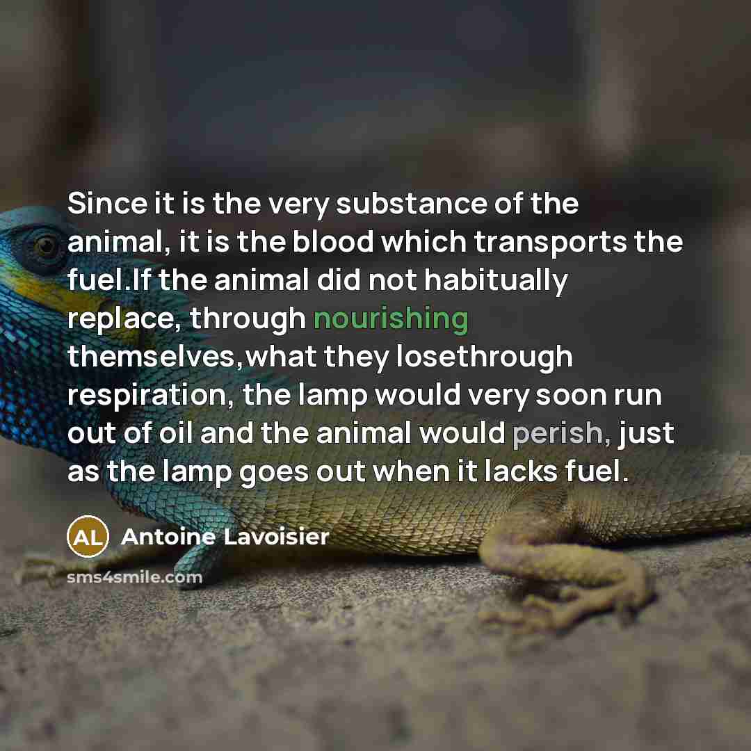 “Since it is the very substance of the animal, it…” quote by Antoine Lavoisier