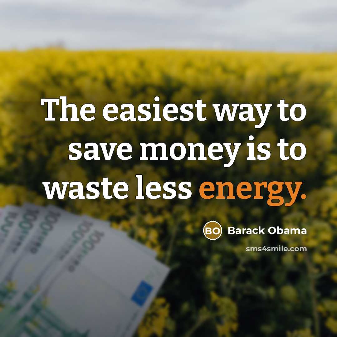 “The easiest way to save money is to waste less…” quote by Barack Obama