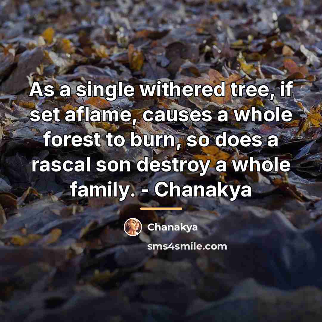 “As a single withered tree, if set aflame, causes a…” quote by Chanakya
