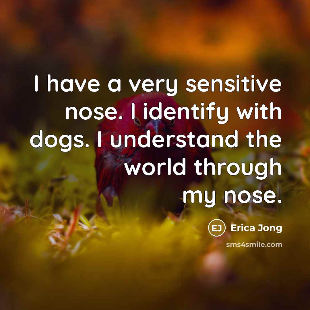 “I have a very sensitive nose. I identify with dogs. I understand the world through my nose.” quote by Erica Jong