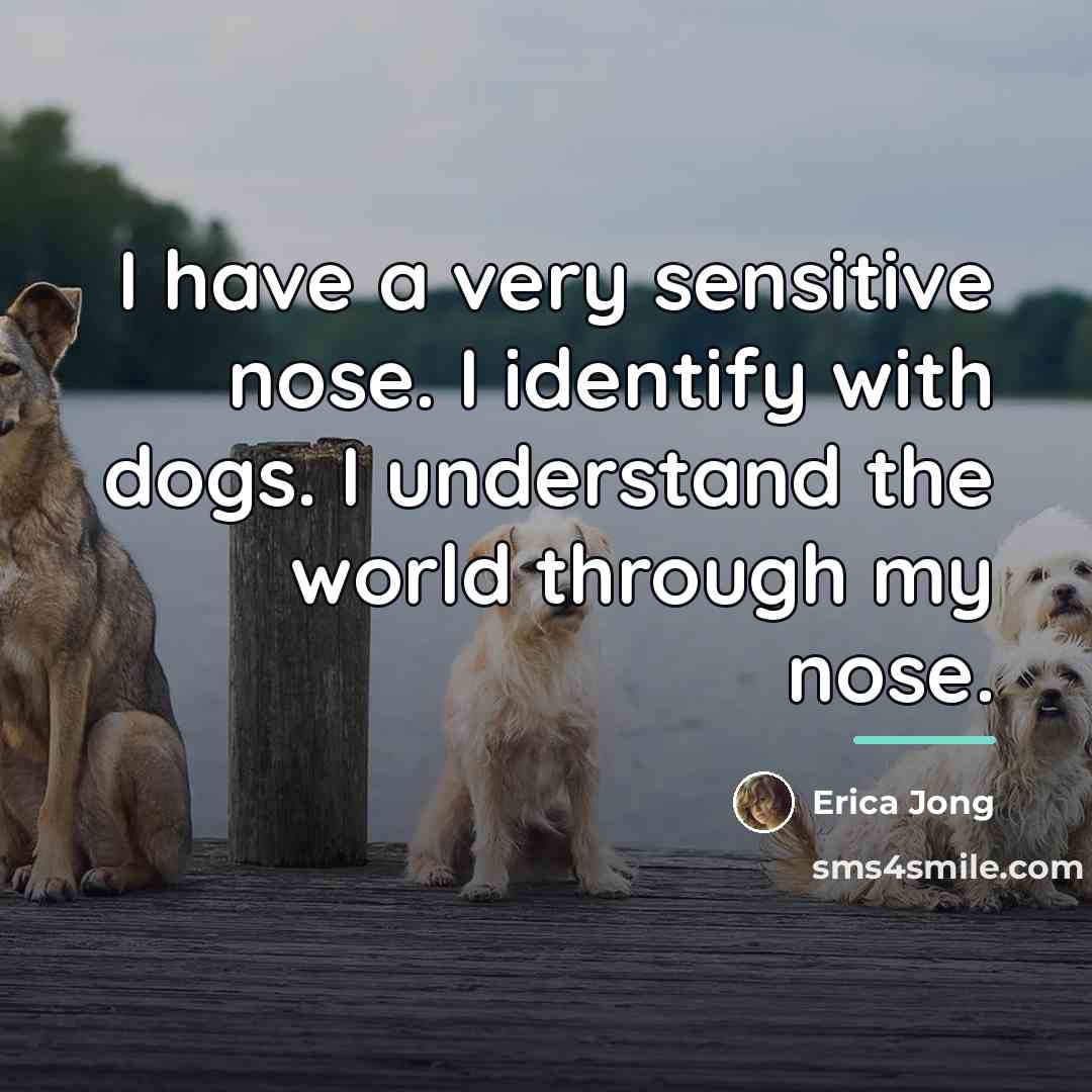 “I have a very sensitive nose. I identify with dogs.…” quote by Erica Jong