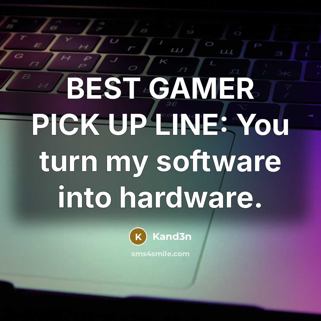 “BEST GAMER PICK UP LINE: You turn my software into…” quote by Kand3n