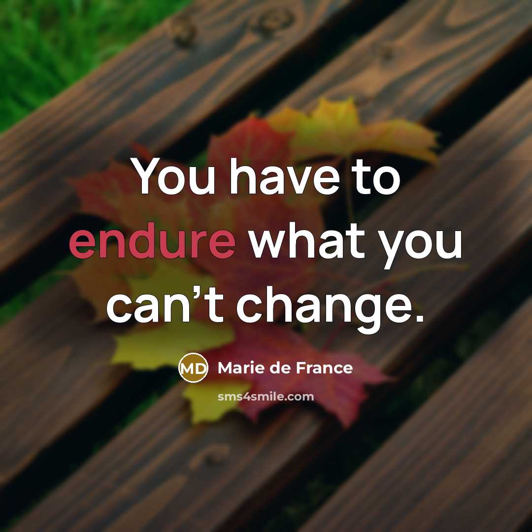 “You have to endure what you can't change.…” quote by Marie de France