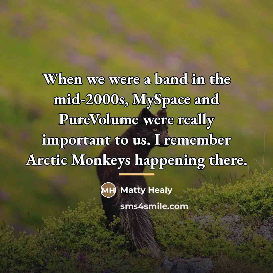 “When we were a band in the mid-2000s, MySpace and…” quote by Matty Healy