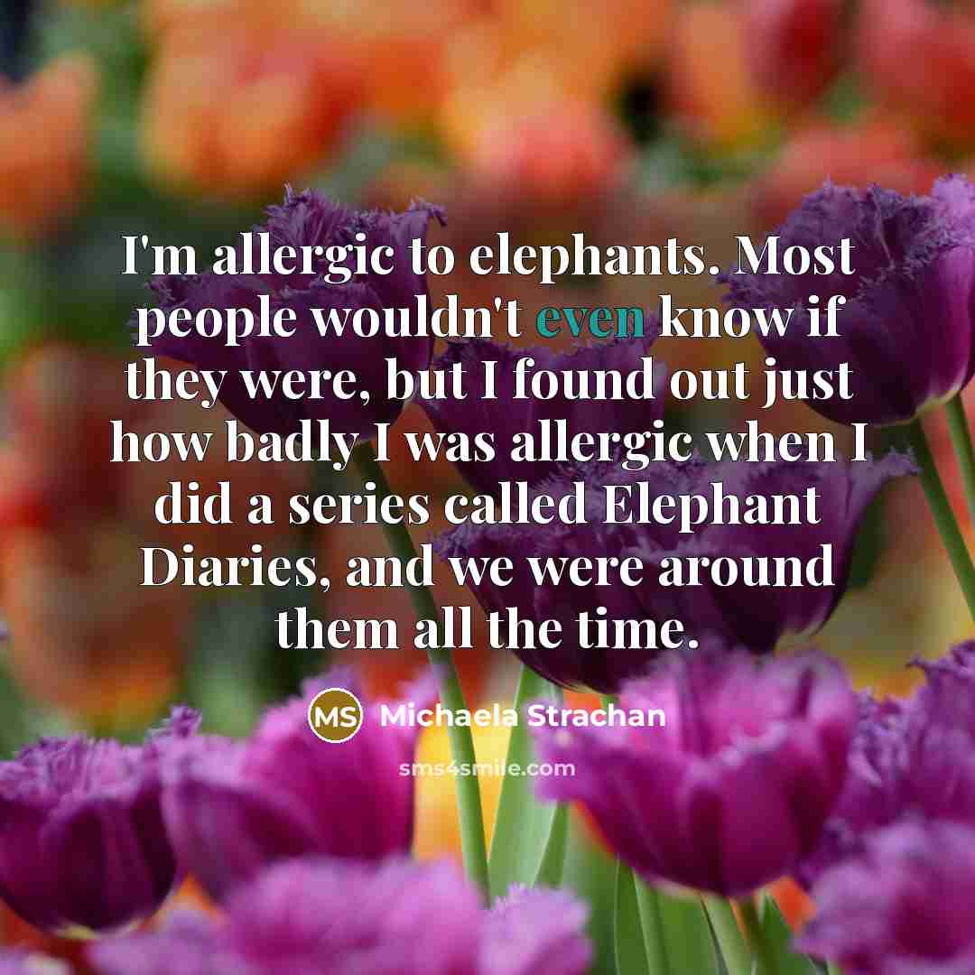 “I'm allergic to elephants. Most people wouldn't even know if…” quote by Michaela Strachan
