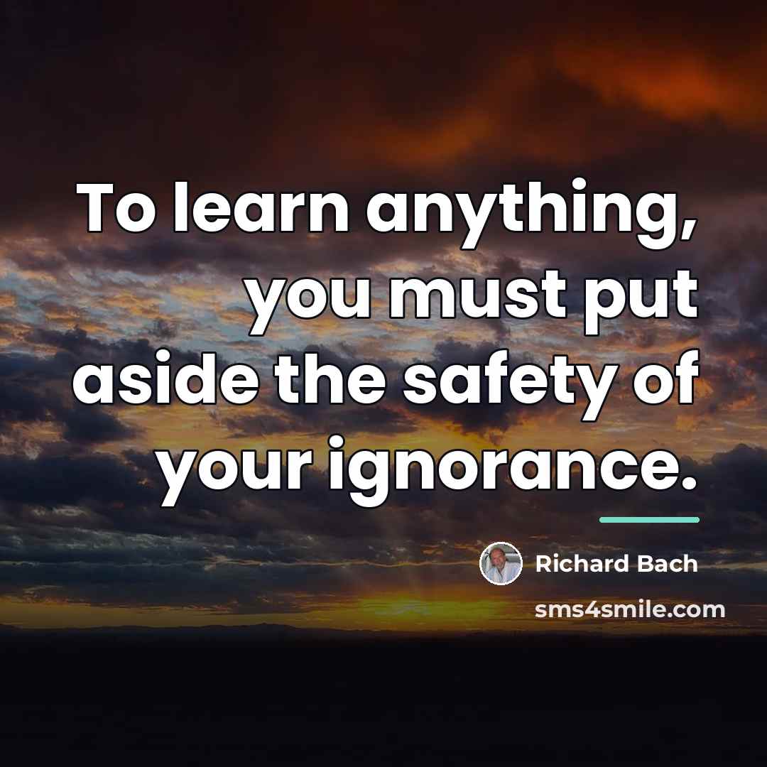 “To learn anything, you must put aside the safety of…” quote by Richard Bach