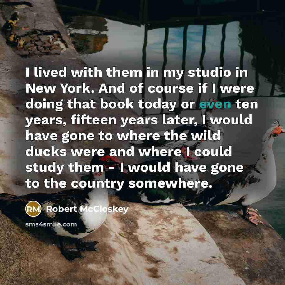 “I lived with them in my studio in New York.…” quote by Robert McCloskey