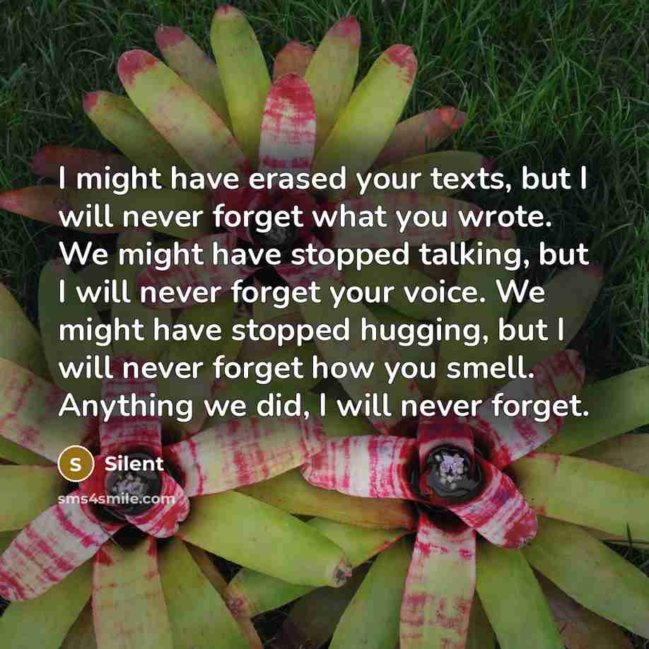 “I might have erased your texts, but I will never…” quote by Silent