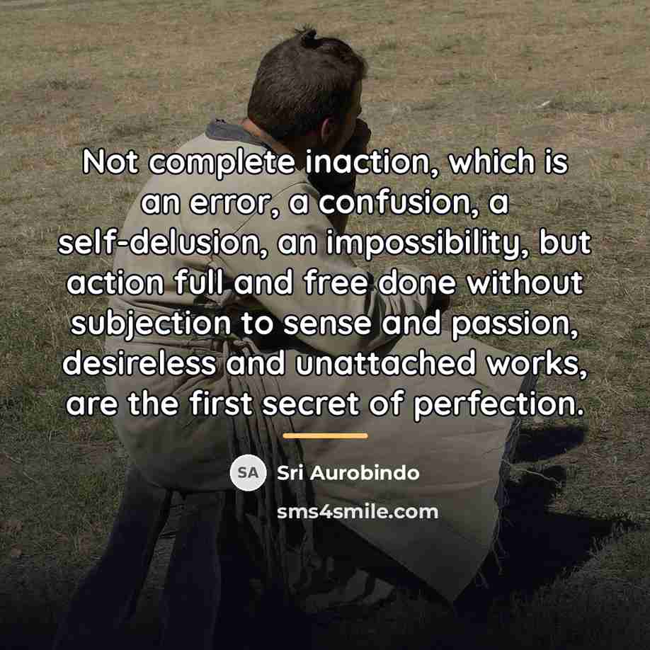 “Not complete inaction, which is an error, a confusion, a…” quote by Sri Aurobindo