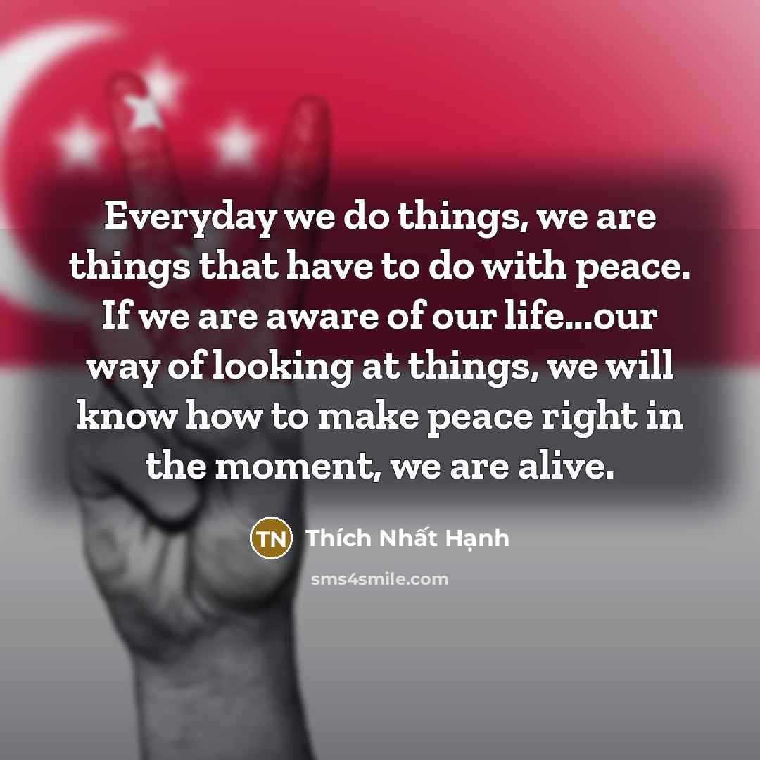 “Everyday we do things, we are things that have to…” quote by Thich Nhat Hanh