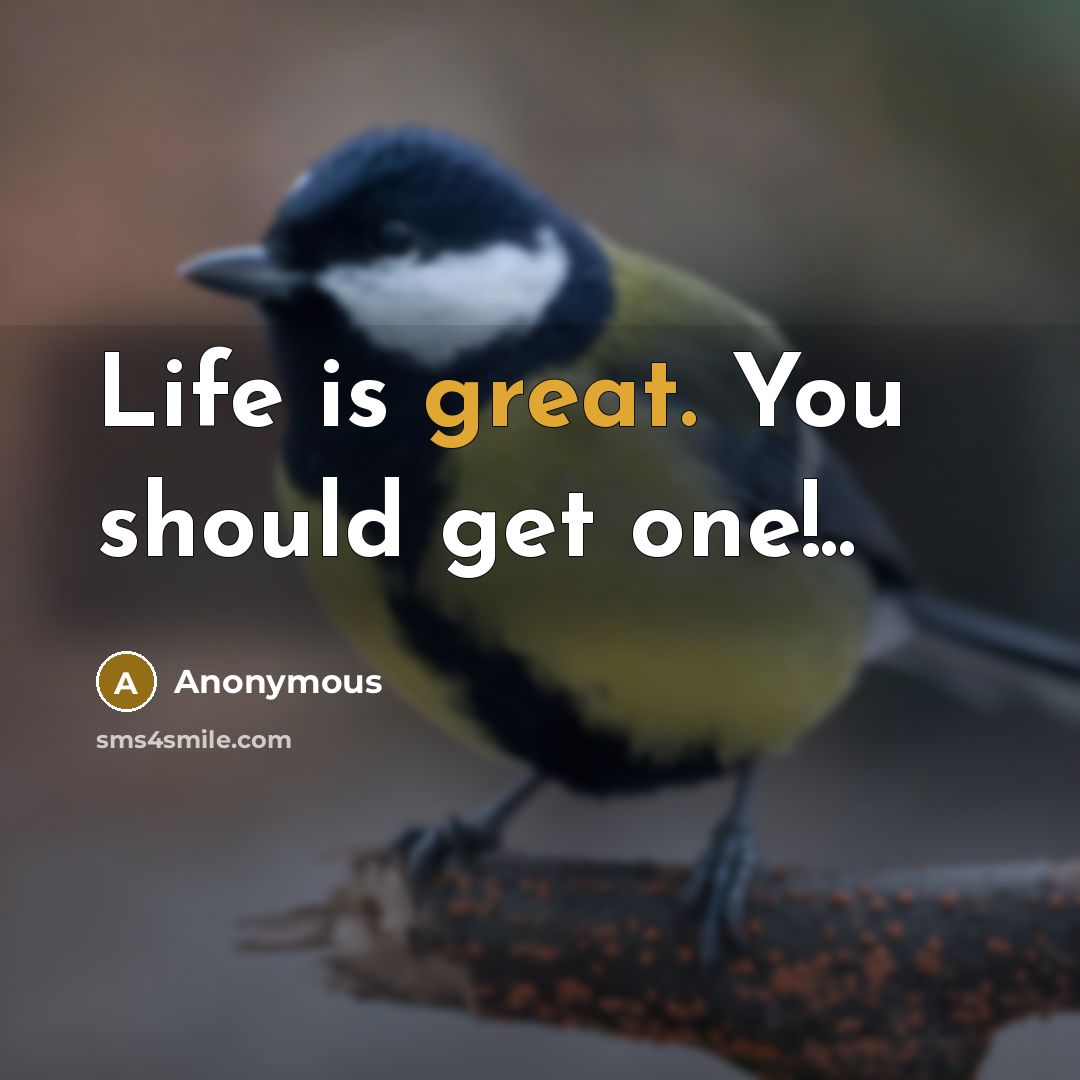 “Life is great. You should get one!..…” quote by Anonymous