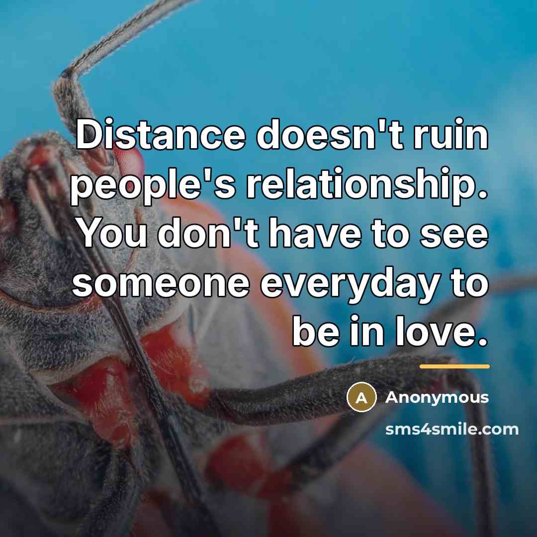 “Distance doesn't ruin people's relationship. You don't have to see…” quote by Anonymous