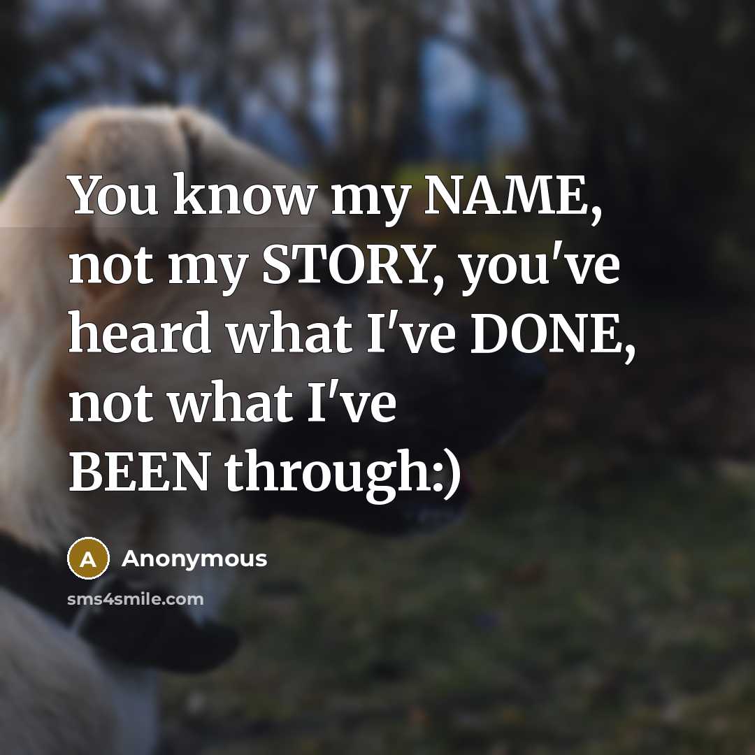 “You know my NAME, not my STORY, you've heard what…” quote by Anonymous