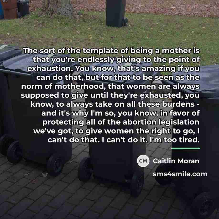 “The sort of the template of being a mother is…” quote by Caitlin Moran
