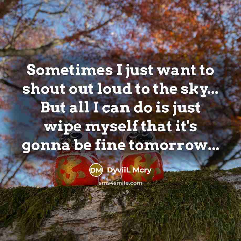 “Sometimes I just want to shout out loud to the sky... But all I can do is just wipe myself that it's gonna be fine tomorrow...” quote by DyviiL Mcry